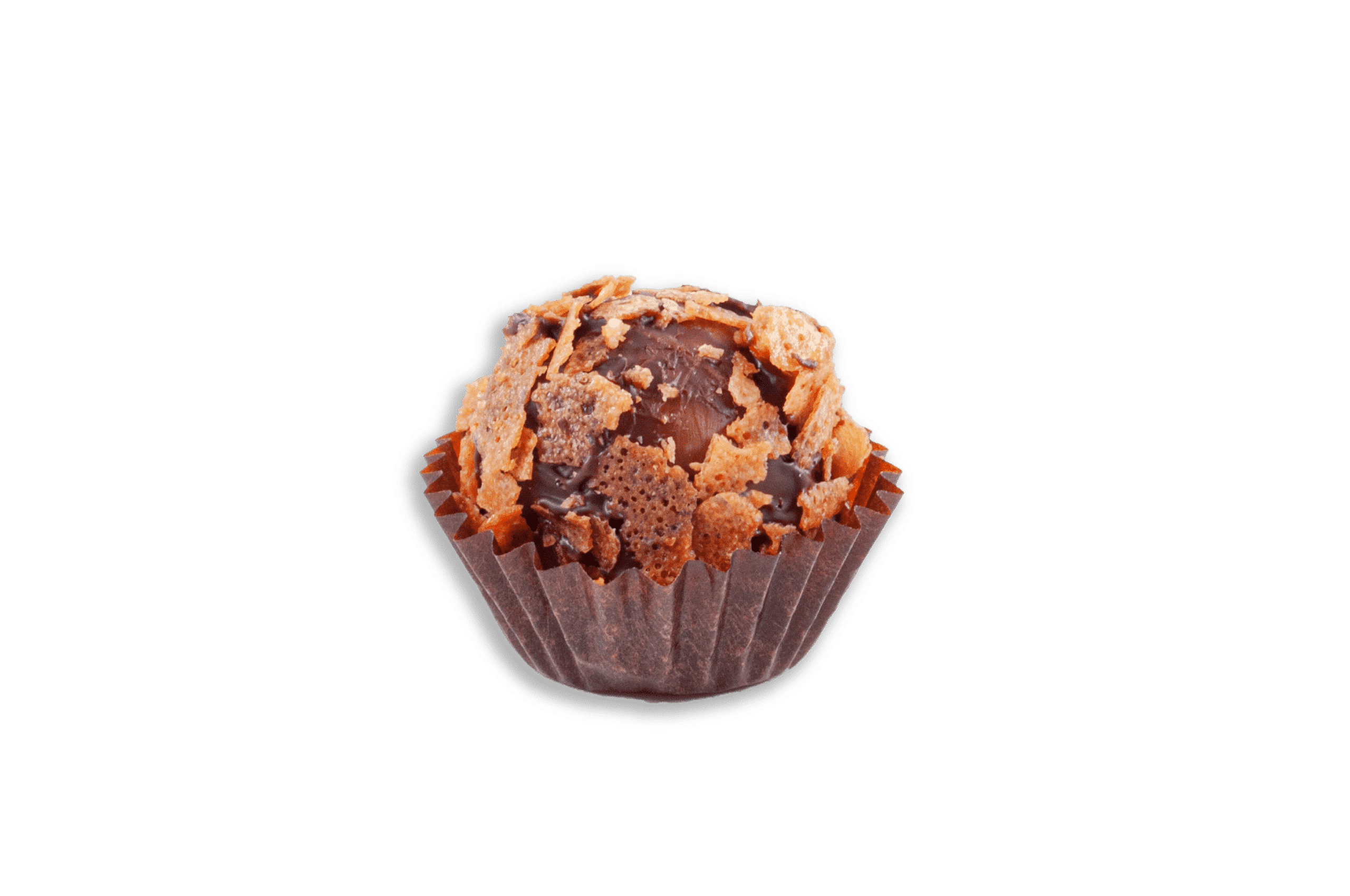 Glaces Dzô 20 PHOTOS SITE 21 1