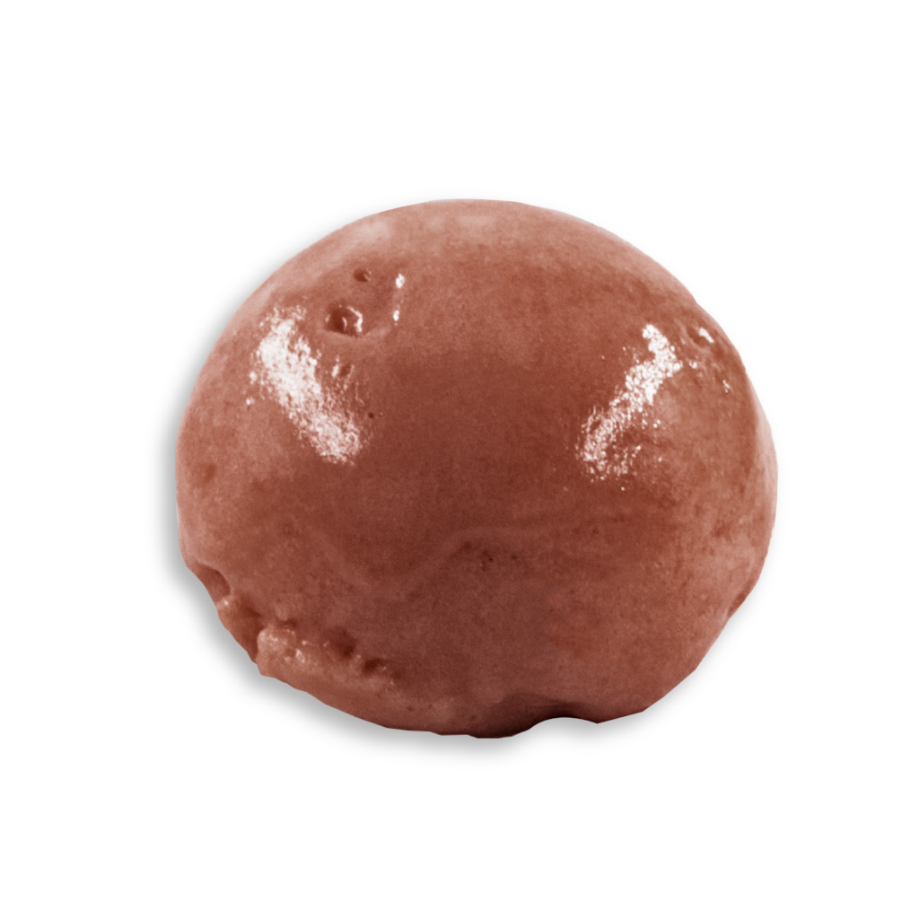 Glaces Dzô 9 chocolat